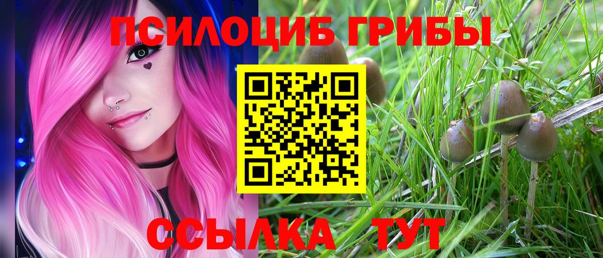 Галлюциногенные грибы Magic Shrooms Вольск