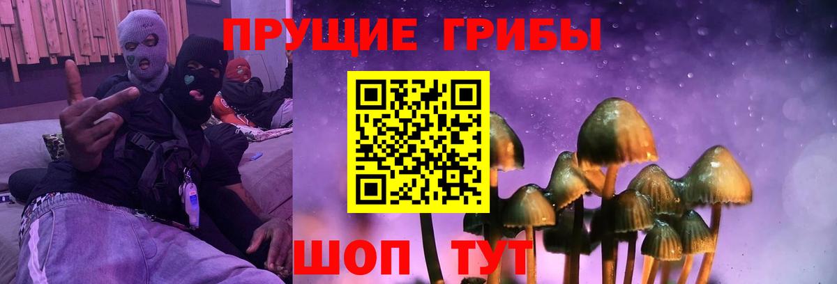 Вольск  Псилоцибиновые грибы Psilocybine cubensis  Вход с VPN  наркота  Галлюциногенные грибы Cubensis 
